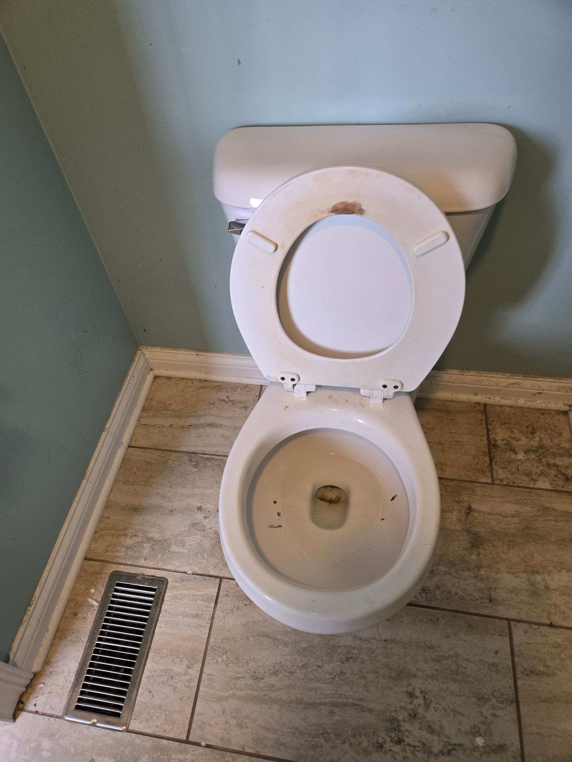 toilet cleaning