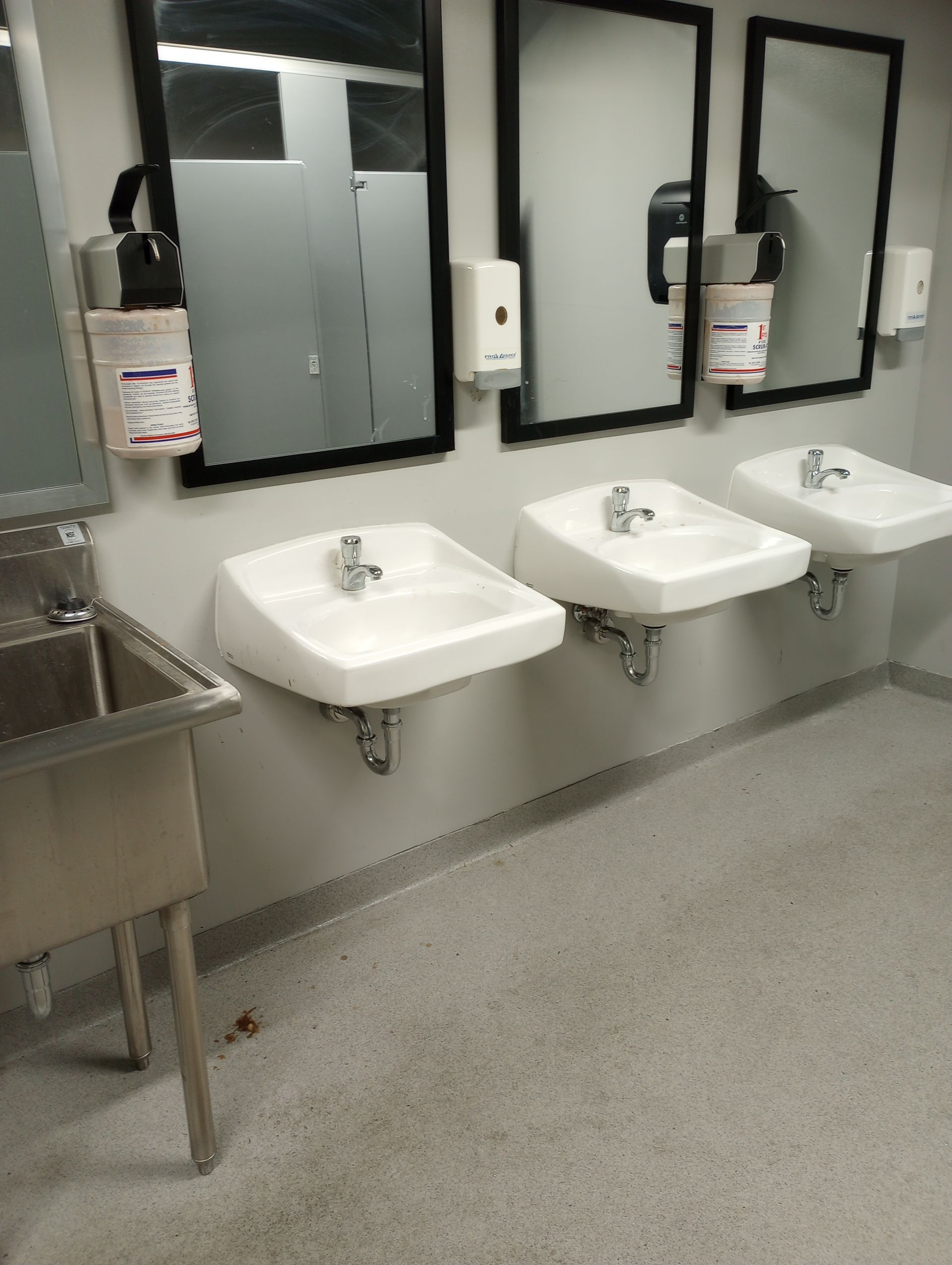 athroom cleaning