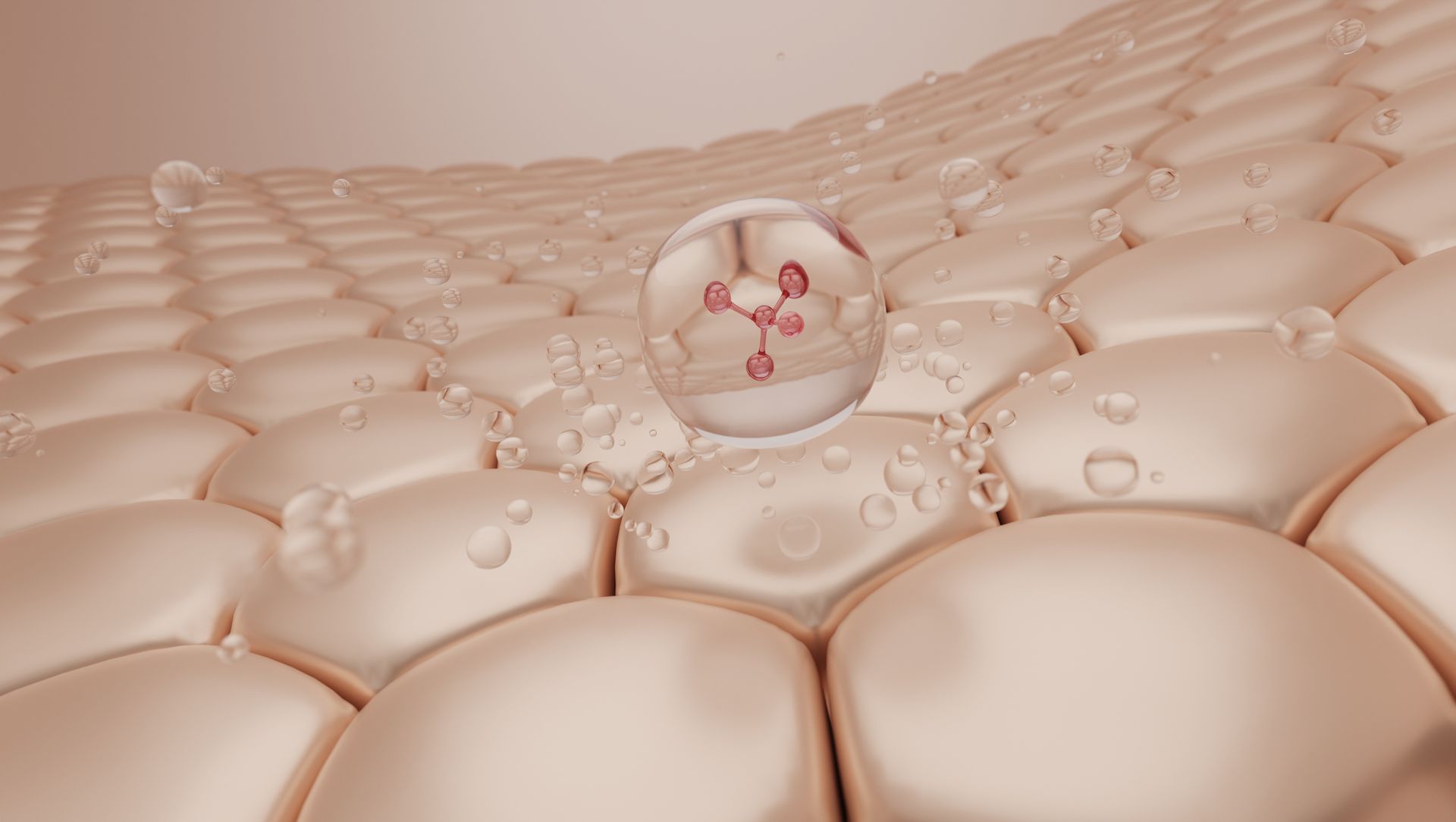A close up of a cell with a drop of water on it. A close up of a cell with a drop of water on it.