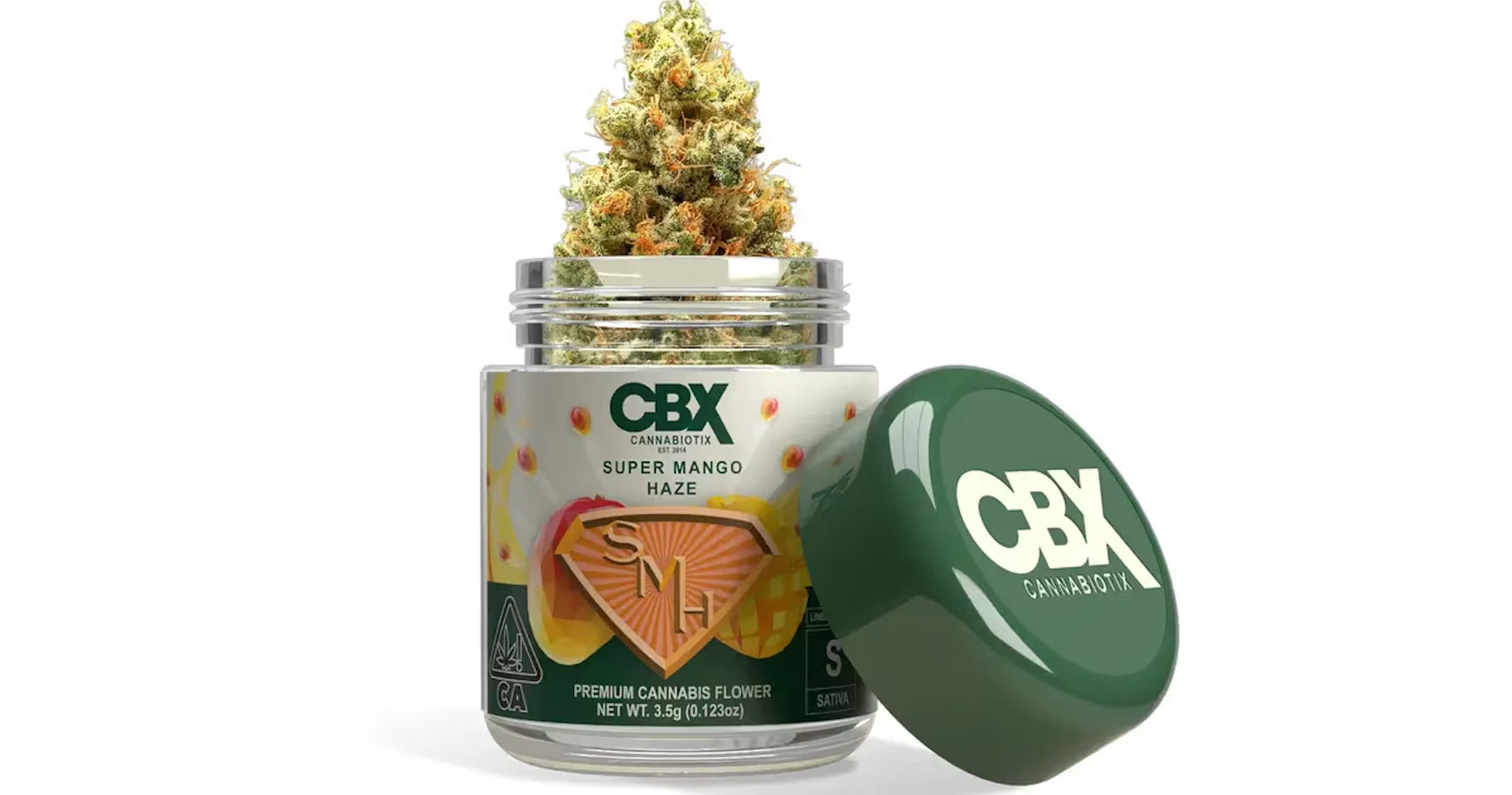 Cannabis