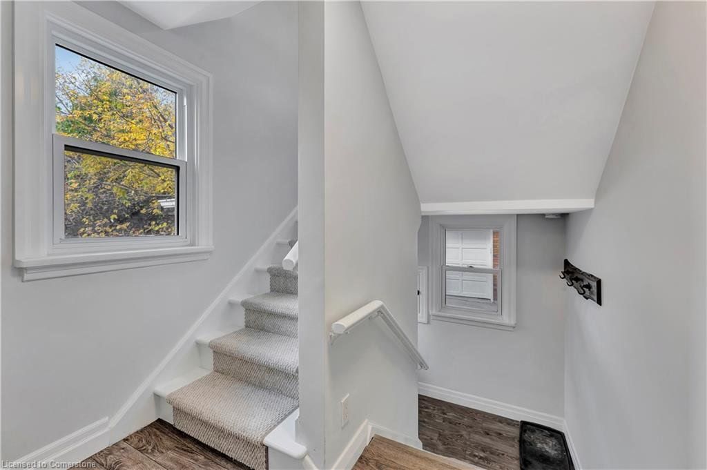 Staircase with window, leading upwards. Light gray walls, white trim, and carpeted steps. Second window at top.