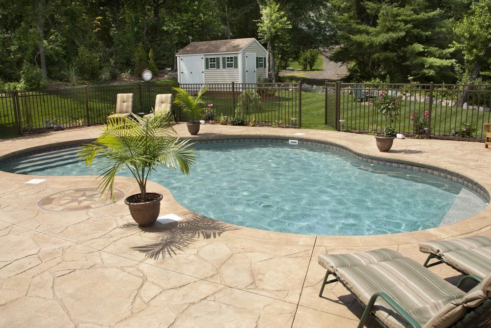 Swimming Pool And Patio In A Residential Backyard — Profile Pools & Landscaping In Byron Bay, NSW