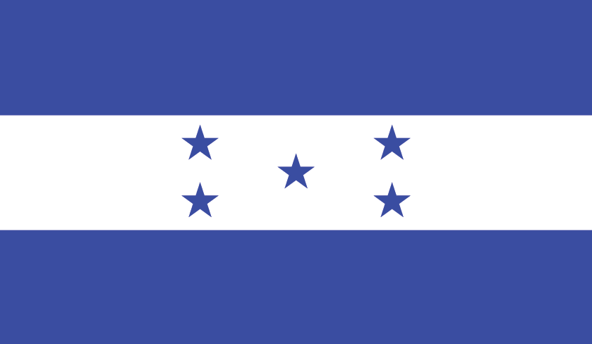 Blue-white-blue flag with seven blue stars, four on the sides and three in the center row