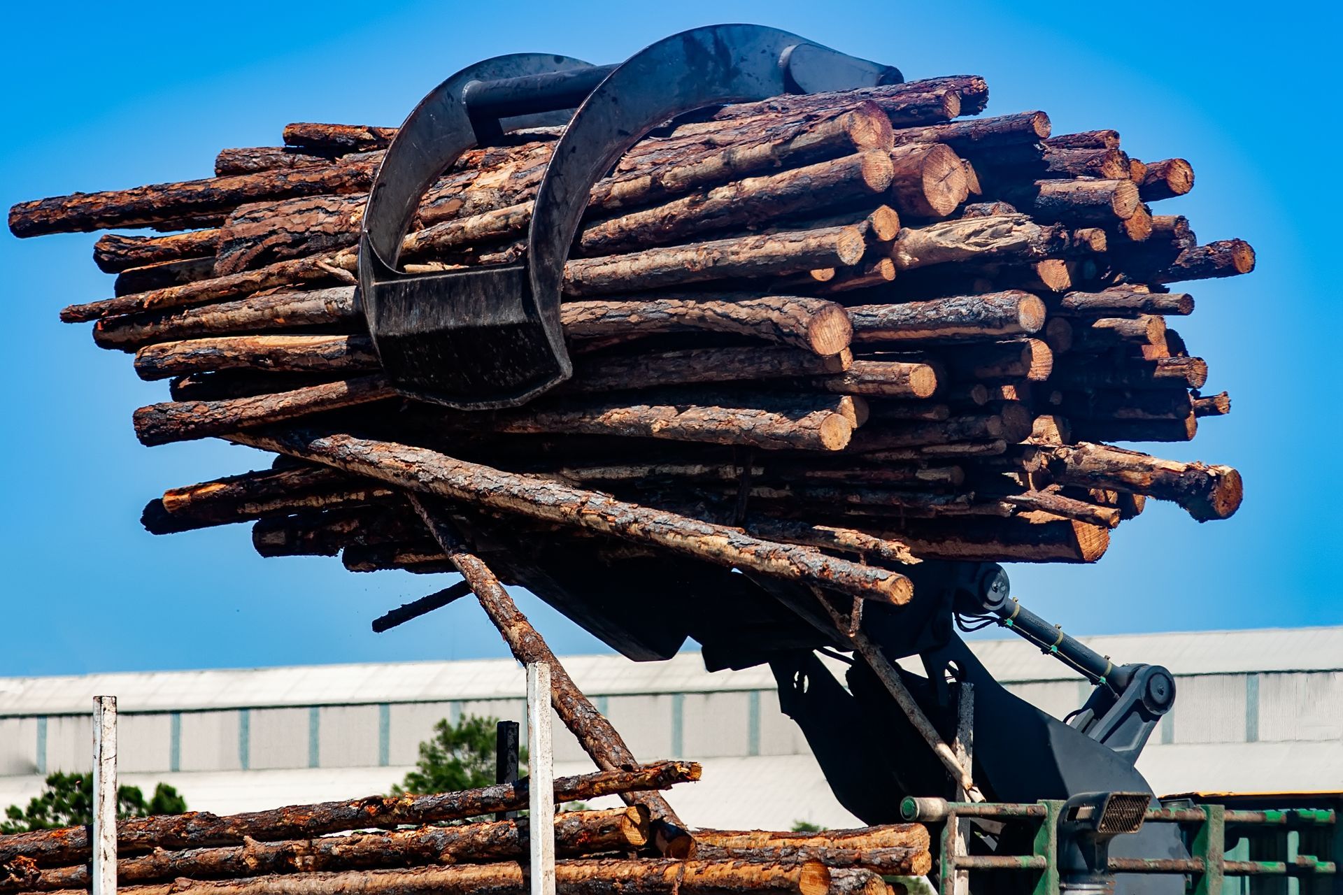 Logs Being Moved — Stratford, VIC — Regal Trees Pty Ltd