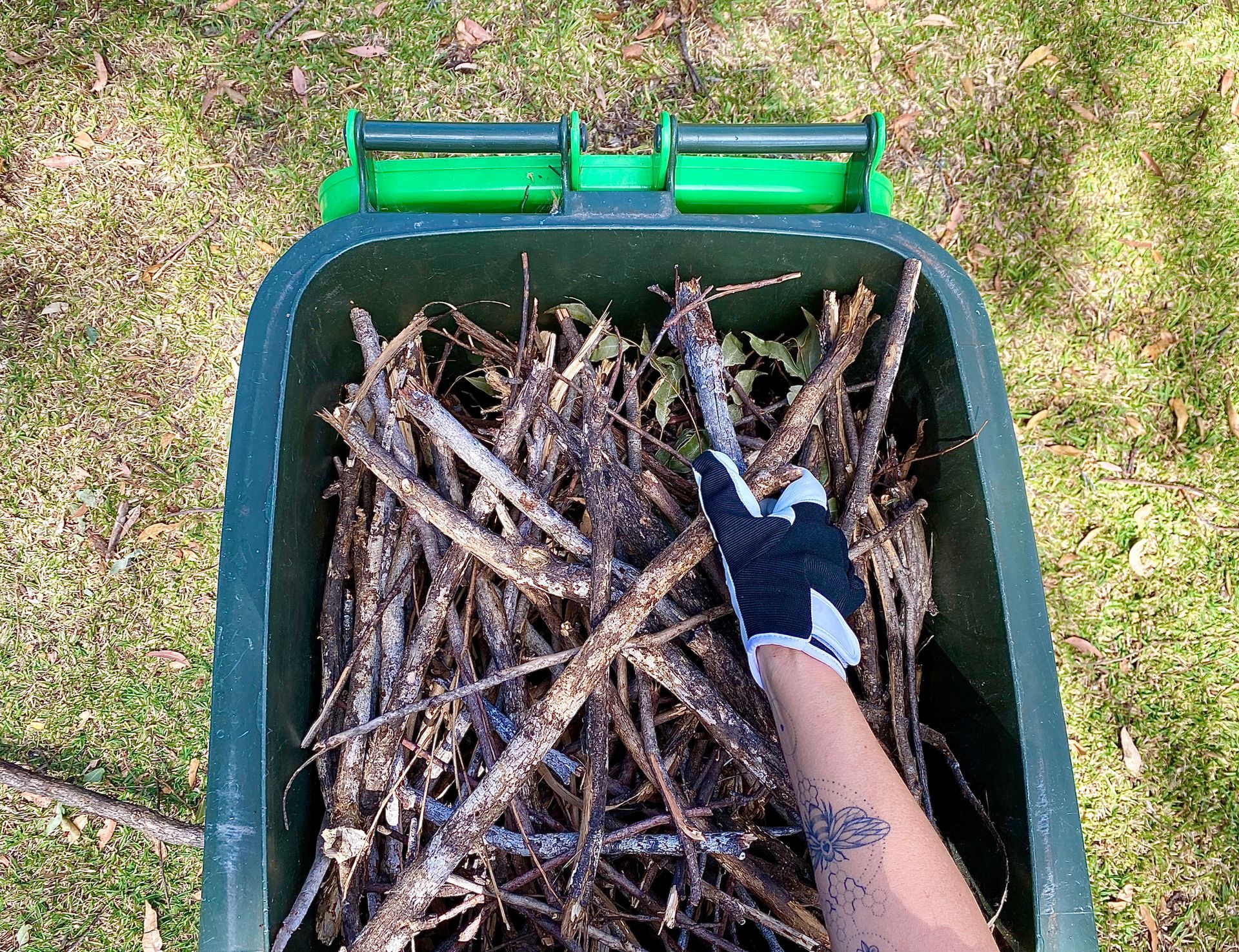 Cleaning Branches — Stratford, VIC — Regal Trees Pty Ltd Cleaning Branches — Stratford, VIC — Regal Trees Pty Ltd
