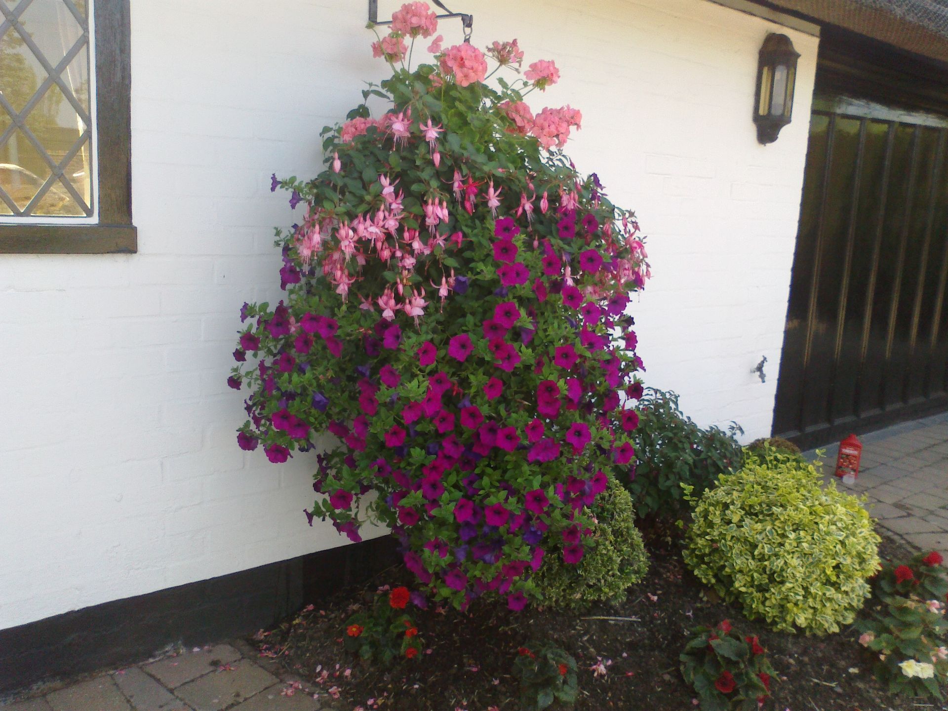garden shed
