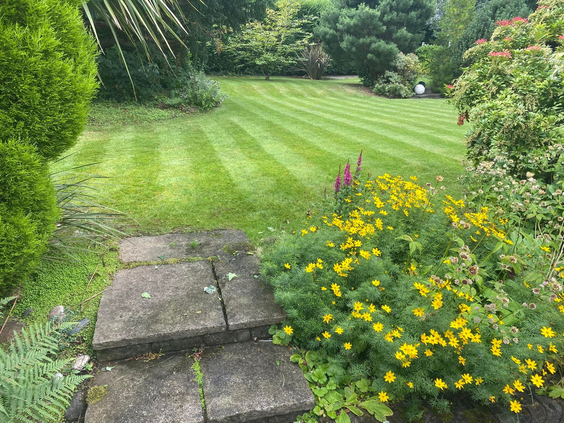 huge garden
