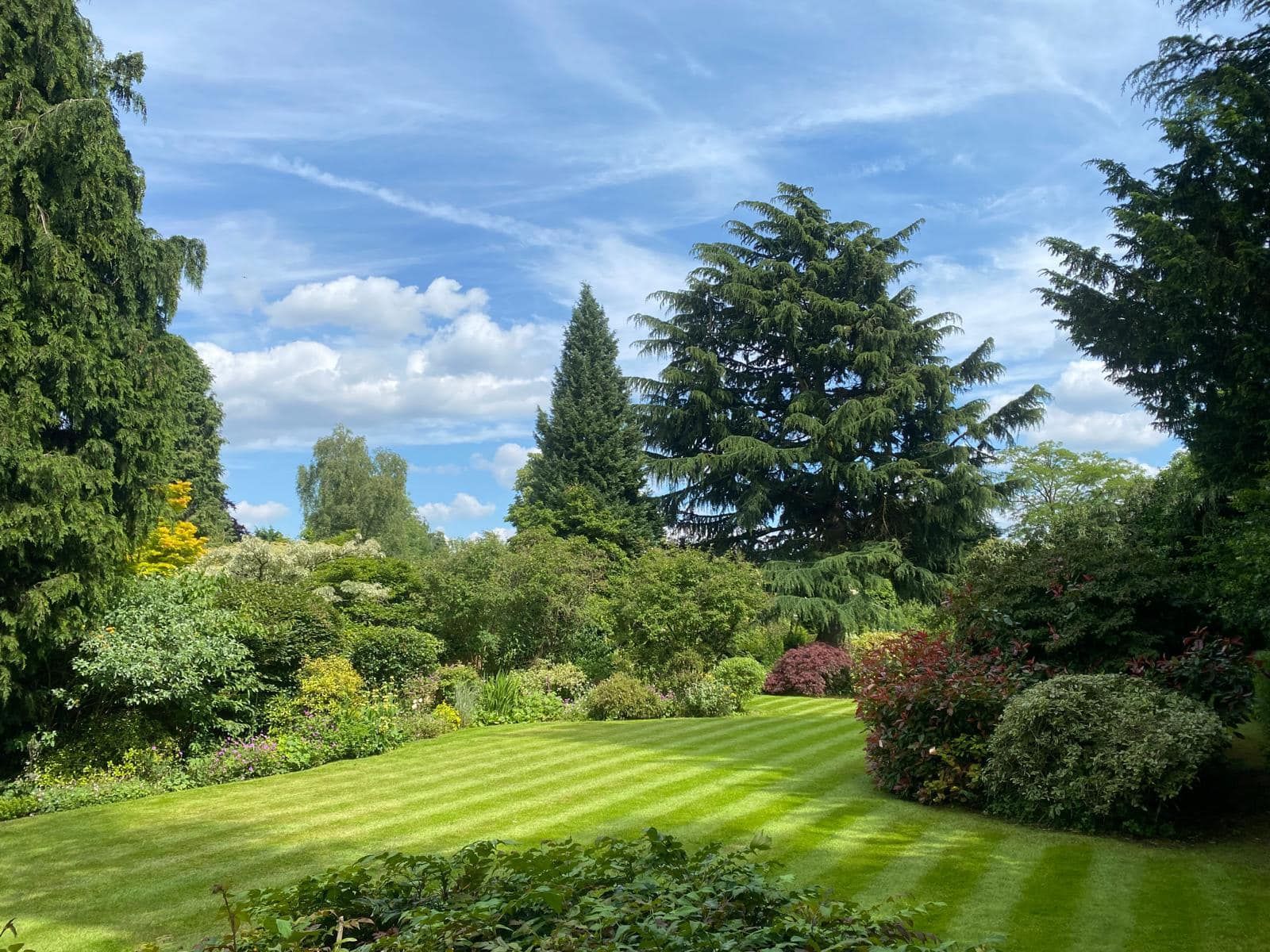 garden maintenance