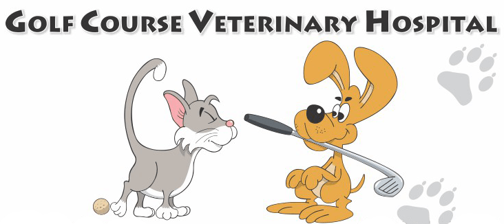 Taree Vets