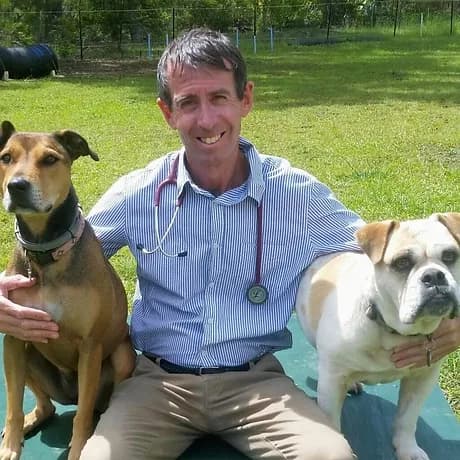 Paul Pitney — Golf Course Veterinary Hospital in Taree, NSW