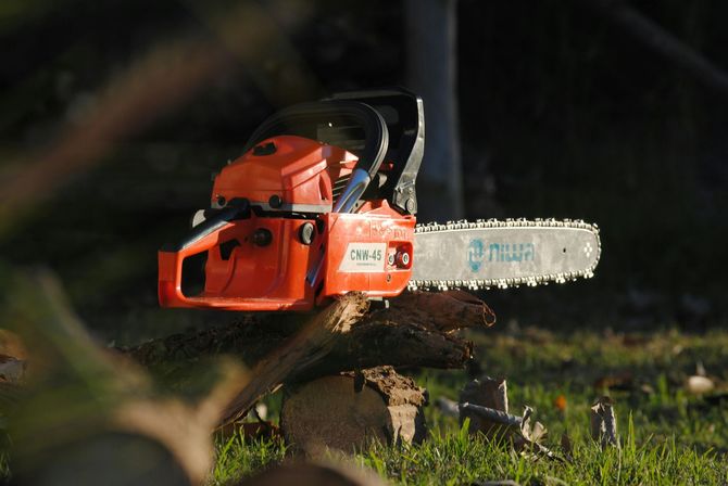 Orange Niwa CNW-45 gas chainsaw resting on a log in a sunny yard.