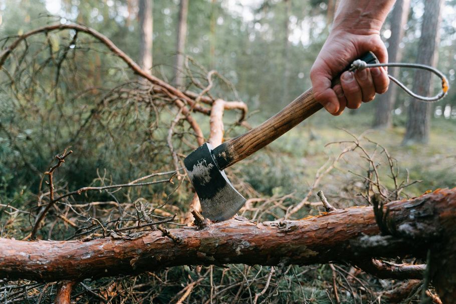 A person's hand holding a small hatchet while chopping a fallen tree branch.