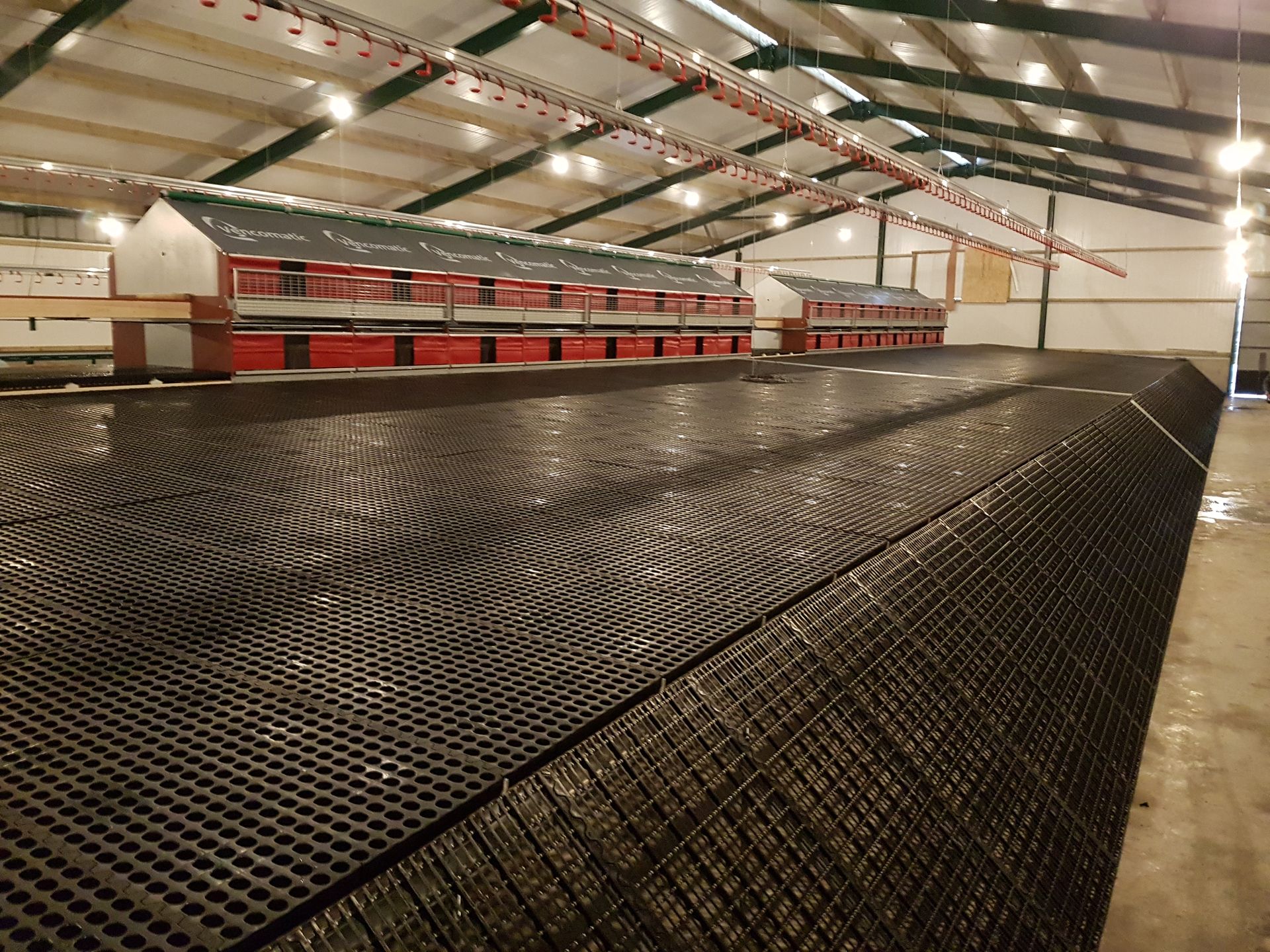 Quality Poultry Equipment | Poultry Equipment Engineers Ltd