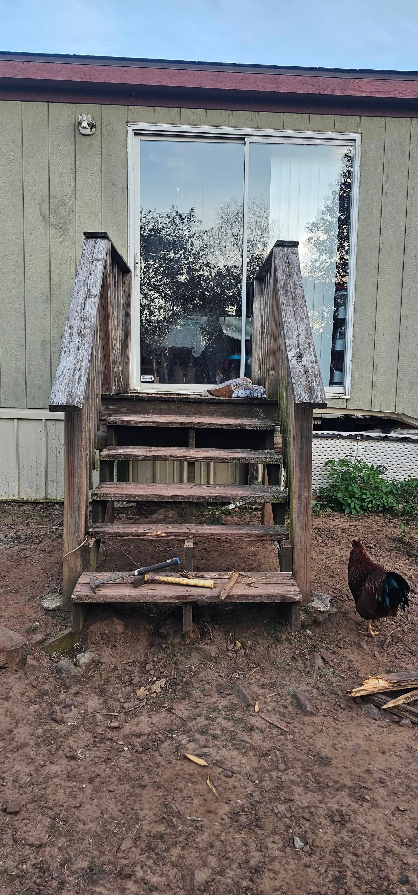 Old wooden porch steps leading to a front door with reflective glass, beside a chicken on muddy ground.