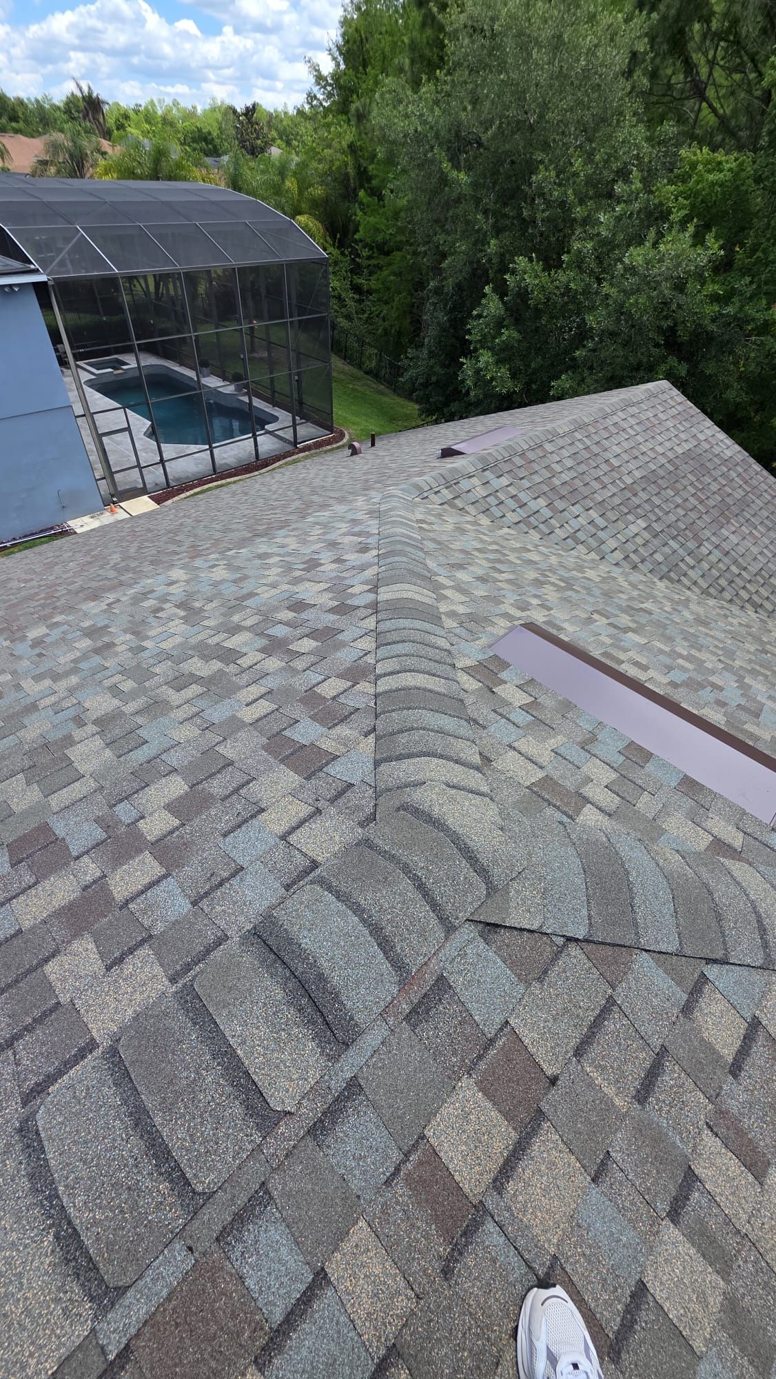 Roof shingles and skylight in the foreground, with a screened pool enclosure and dense green trees behind.