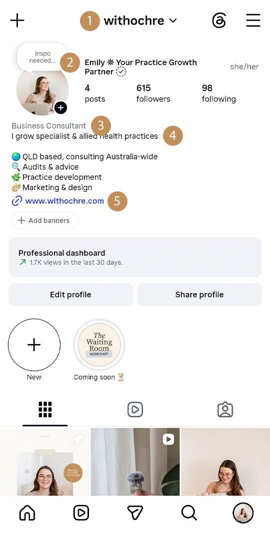Anatomy of an Instagram profile screenshot, boost Instagram traffic to your allied health practice