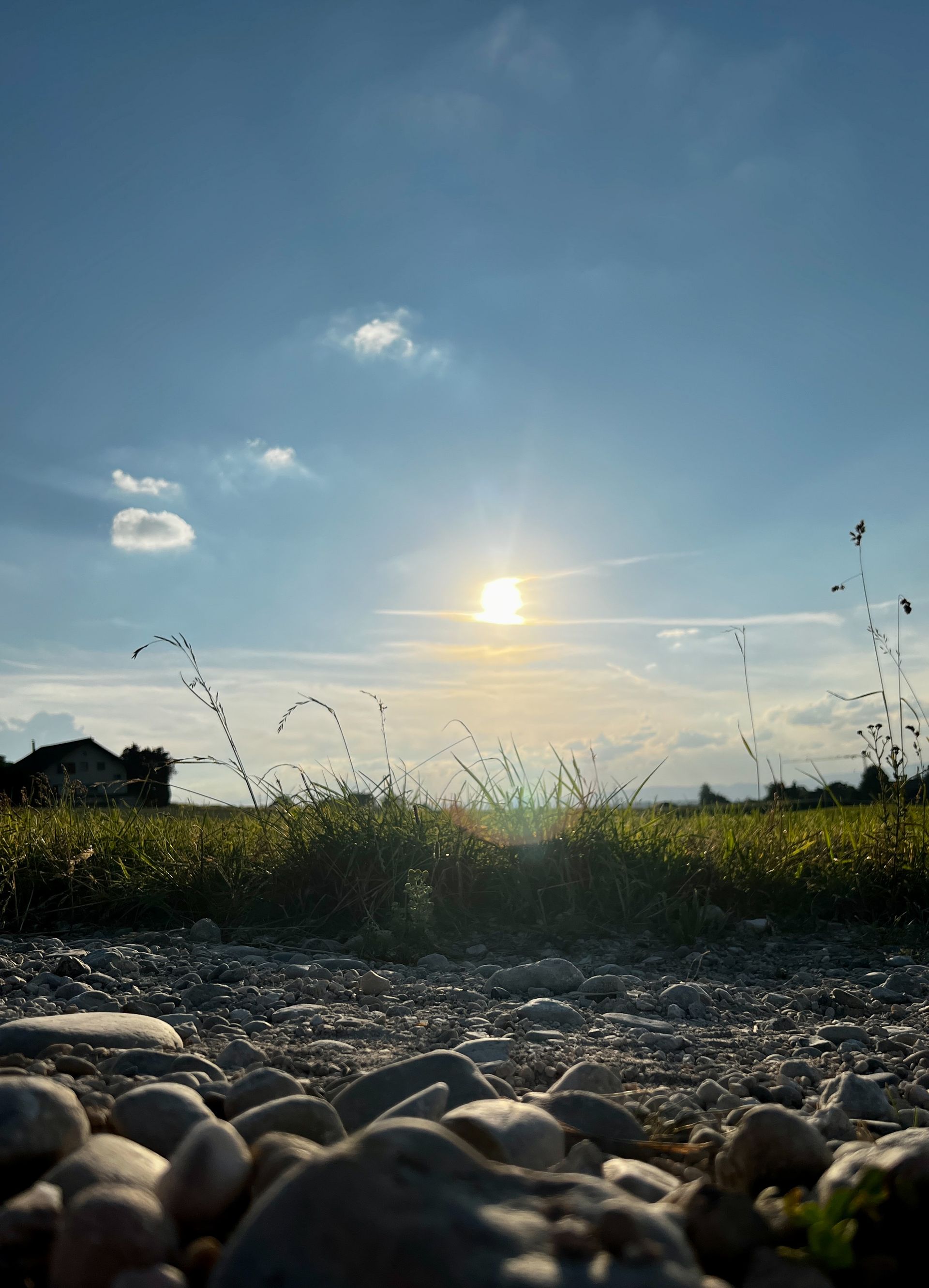 #SonnigeWeide