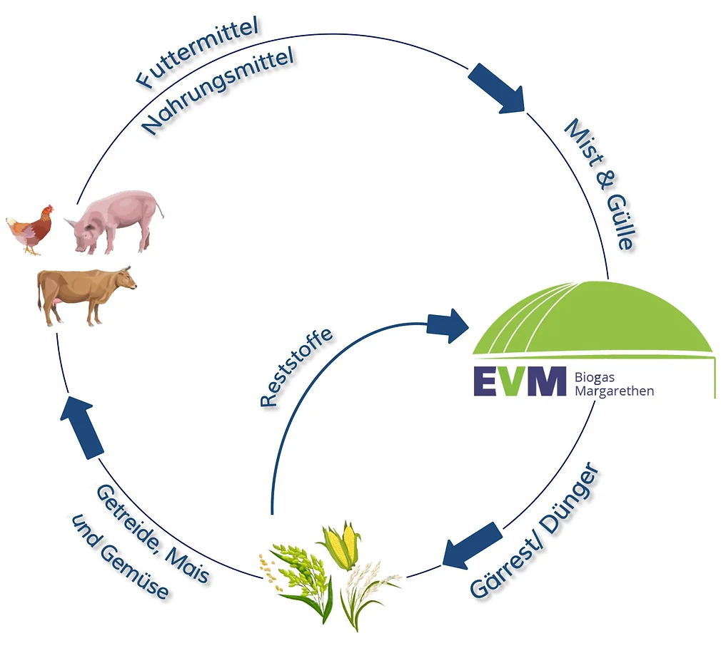Kreislauf EVM