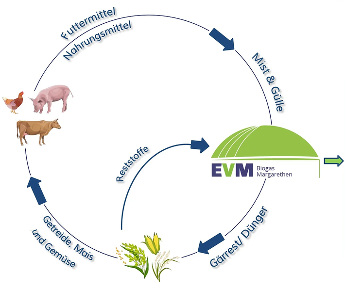 Kreislauf EVM