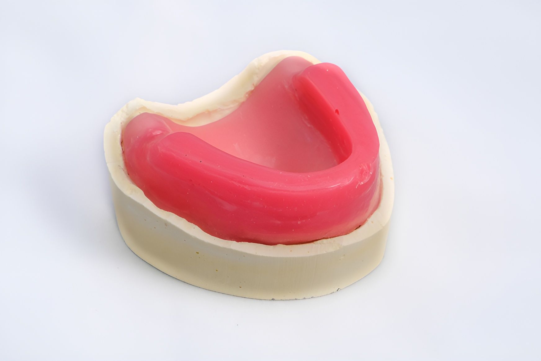 A Model of a Mouth With Red Wax on It — Tweed Banora Dental In Tweed Heads South, NSW