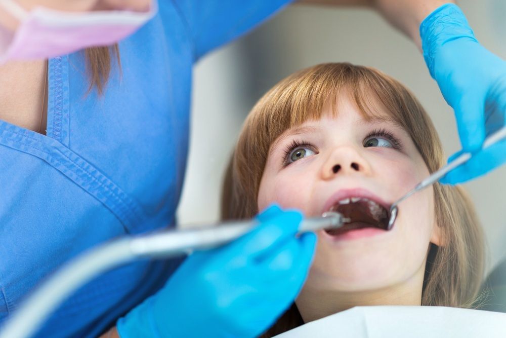 A Little Girl is Getting Her Teeth Examined by a Dentist — Tweed Banora Dental In Tweed Heads South, NSW