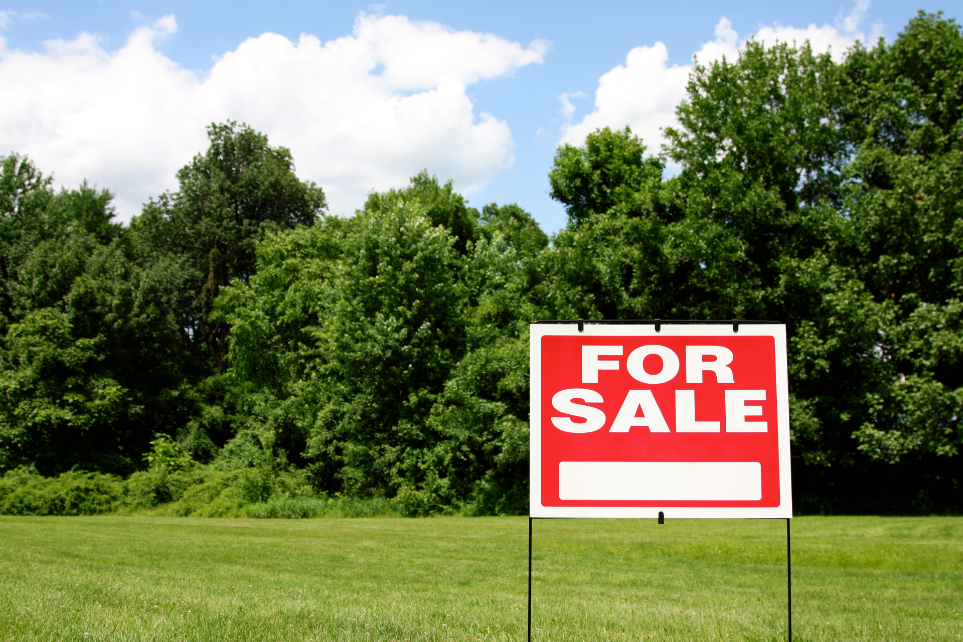 For sale sign on a grassy lot with trees and blue sky in the background