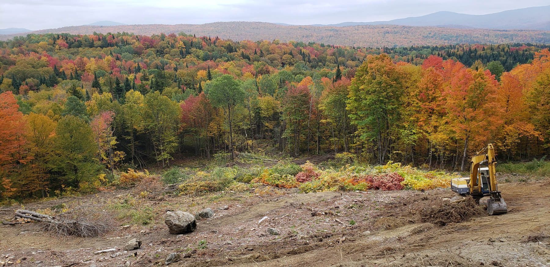 An excavator in a cleared area with colorful autumn foliage. Hills and cloudy sky in the background.
