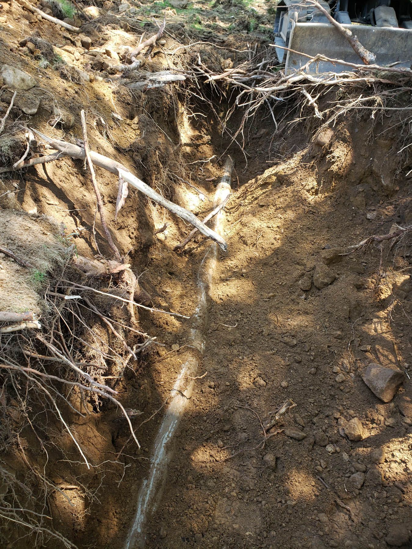 A narrow trench cut into brown earth reveals tree roots and a thin stream of water.