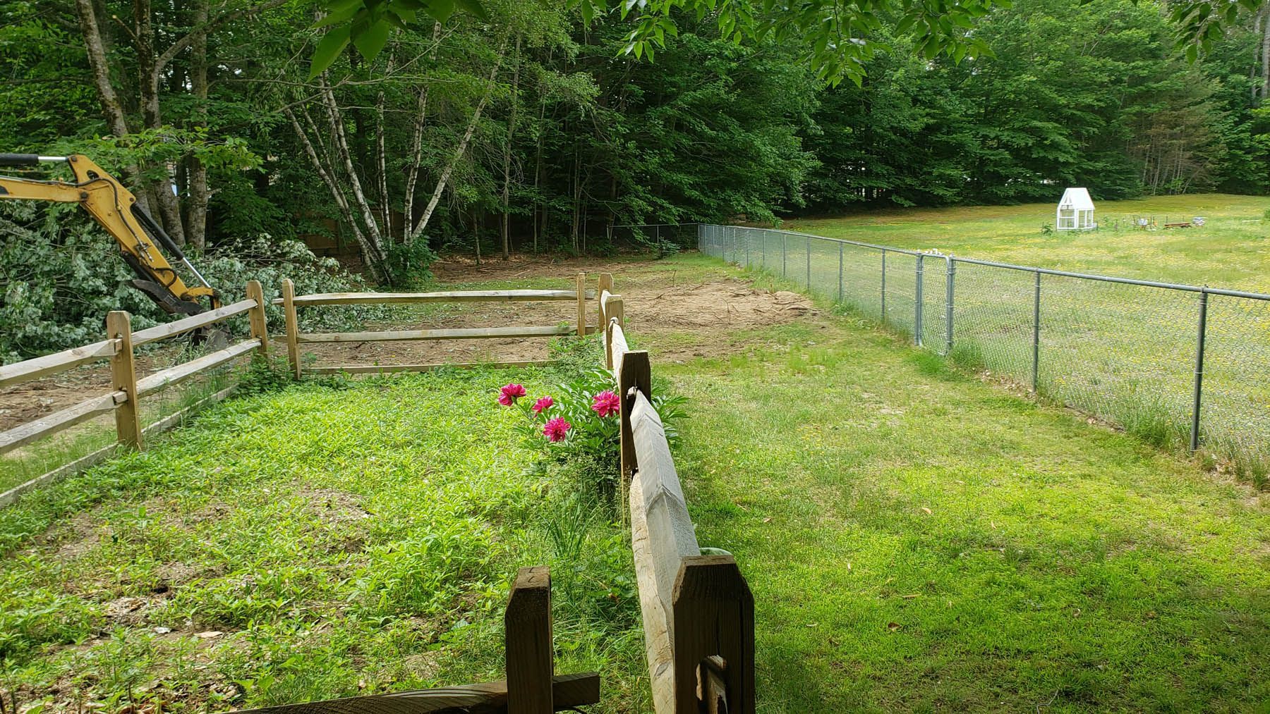 Lush green yard with two fences: wooden and chain link. Red flowers bloom near the wooden fence.