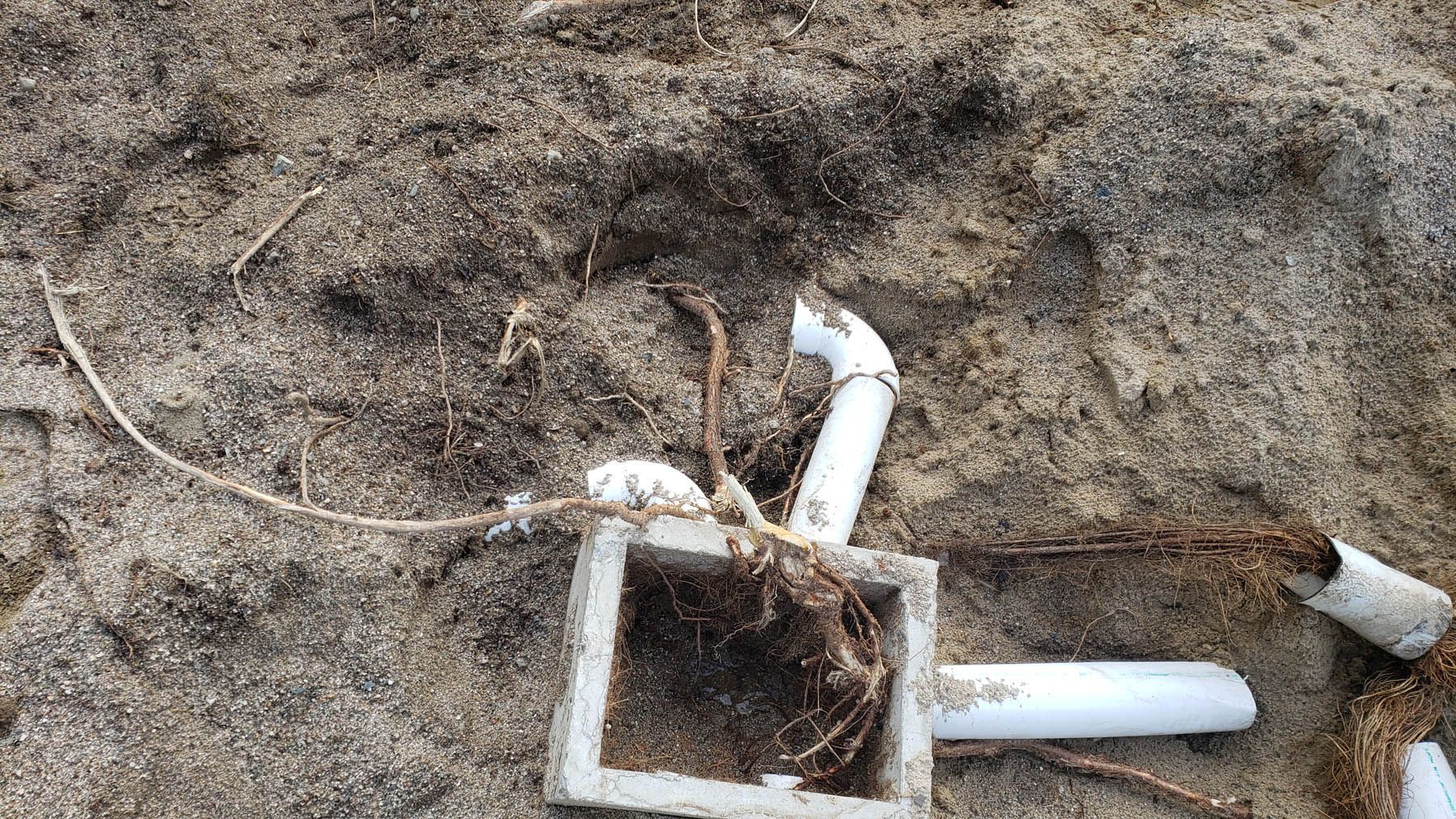 White plastic pipes and a square frame lie in sand, with roots and debris scattered around.