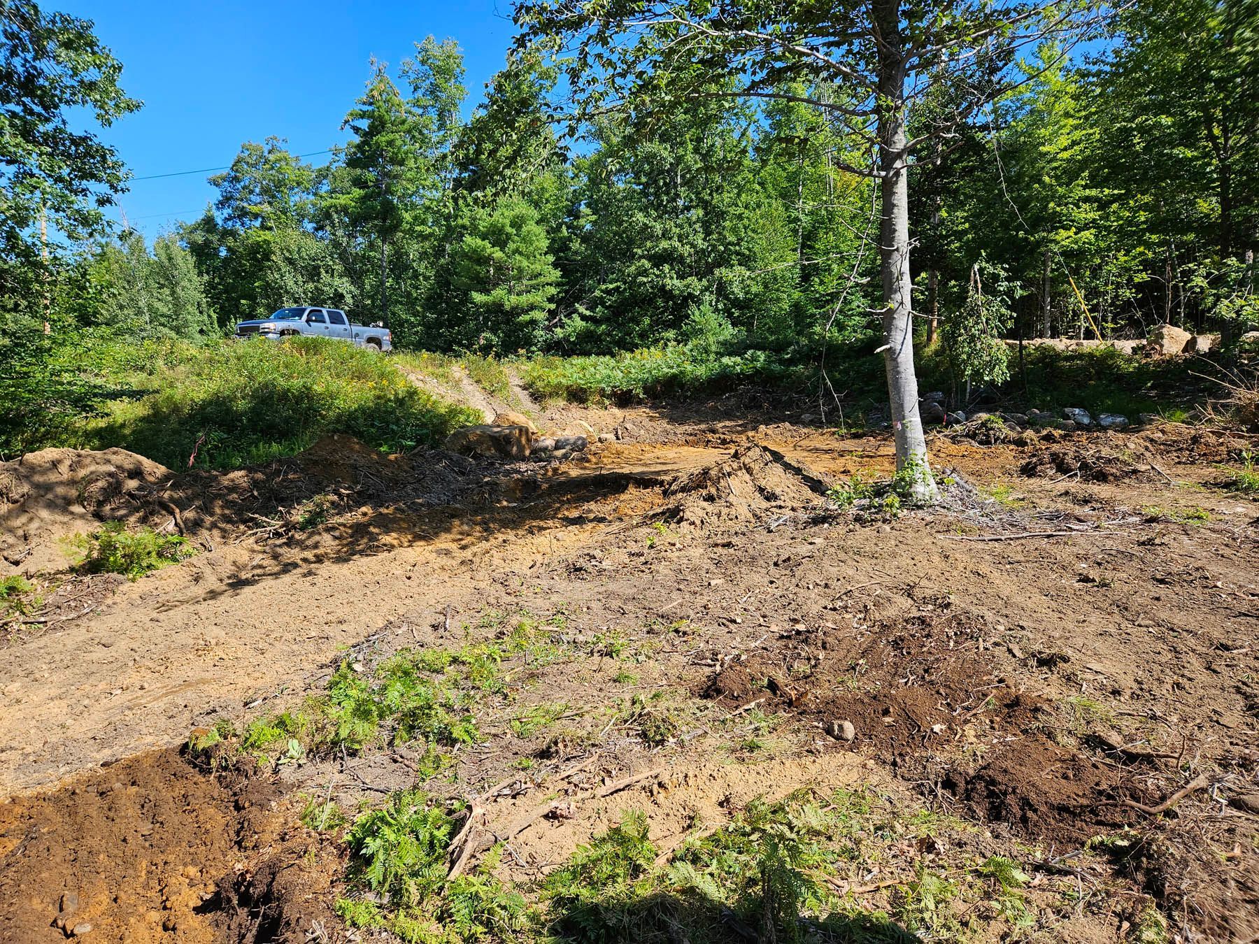 A recently cleared area of dirt and shrubs with a tree and forest backdrop. A white vehicle is visible.