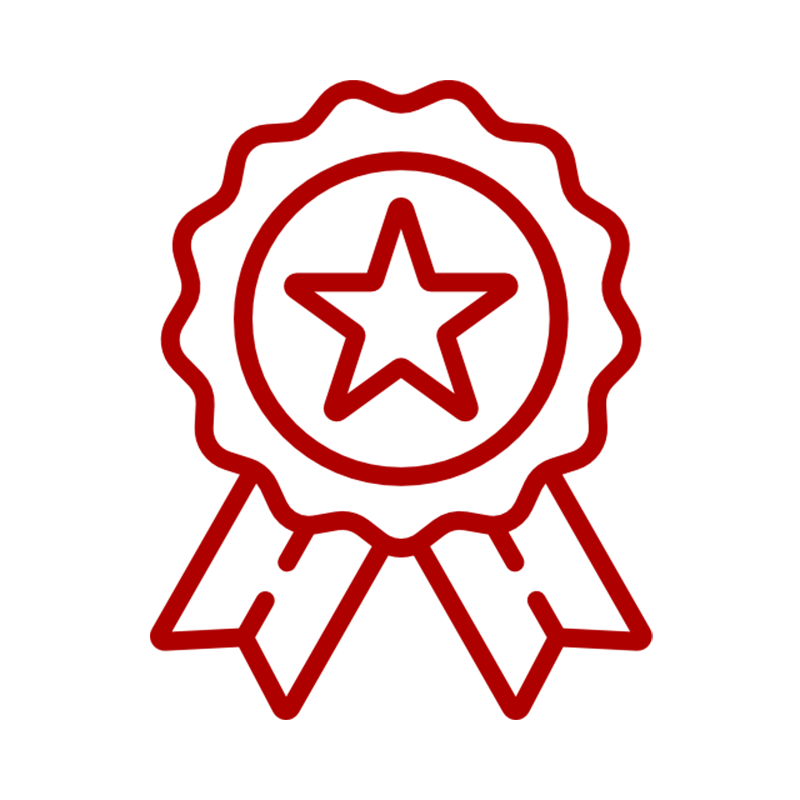 icon Lupe