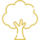 tree maintenance