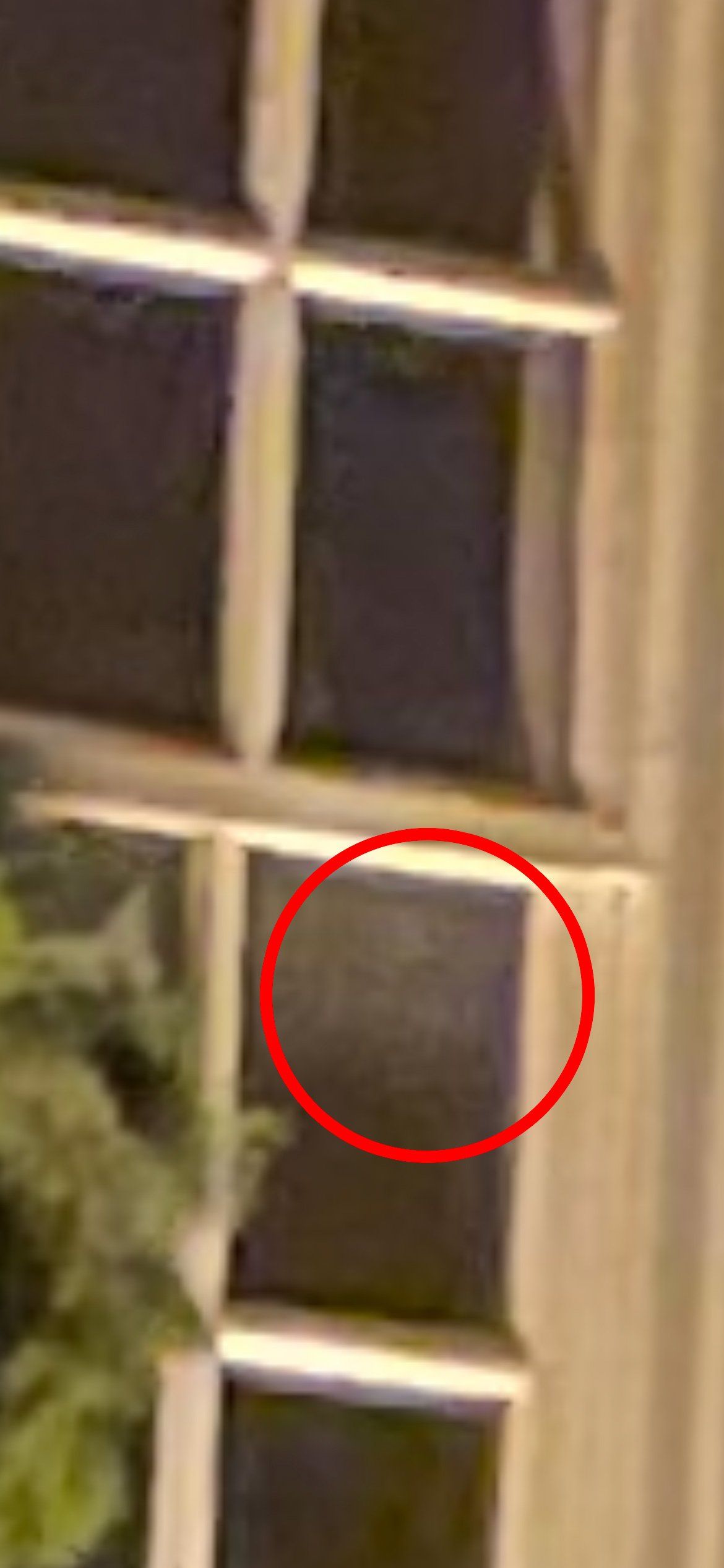 Dark window with a blurry, pale shape inside. Red circle highlights the shape.