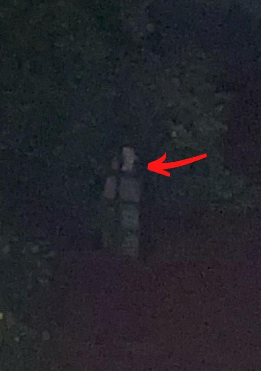 Dark photo of obscured figure in a tree-filled outdoor setting. Red arrow points to a white, rectangular shape.