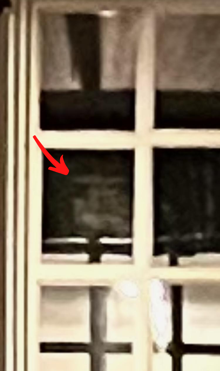 Window with red arrow pointing to a blurry, dark shape within the pane.