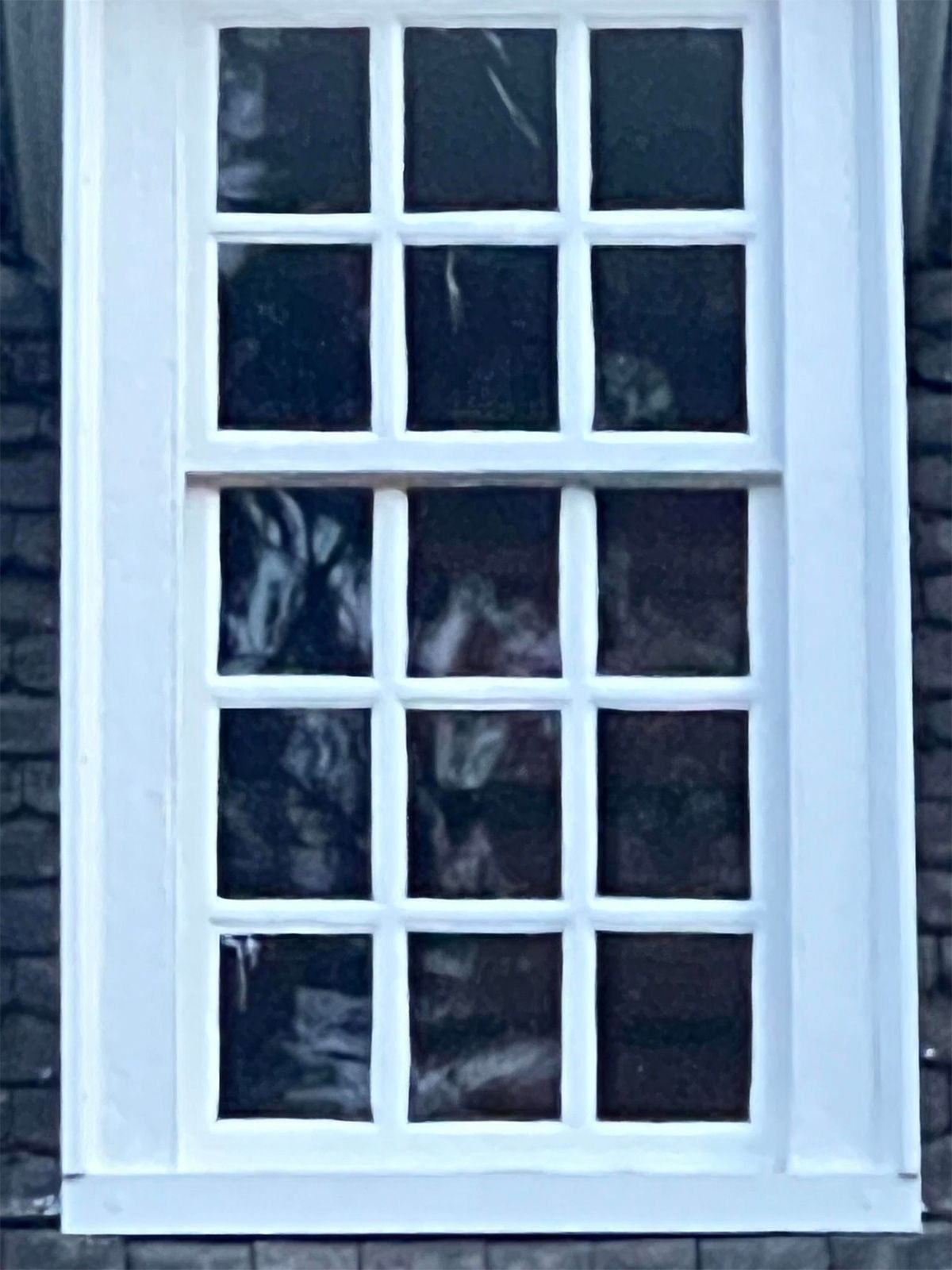 White-framed window with 12 panes; reflections appear in the glass.
