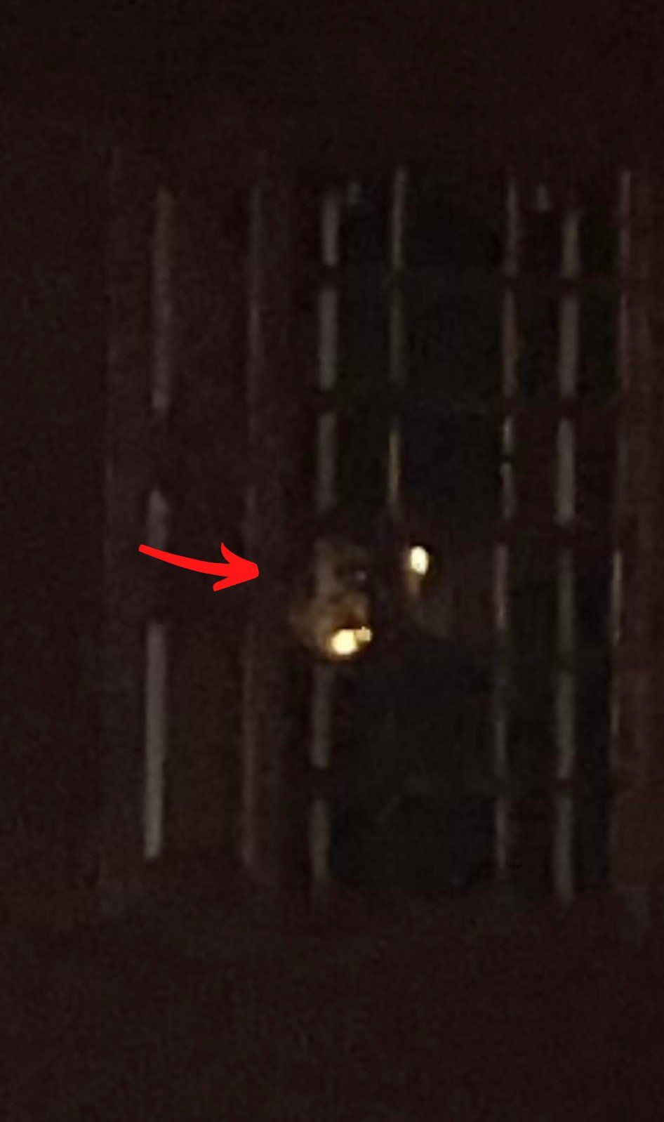 Person behind window with glowing lights in the dark. Red arrow points to face.