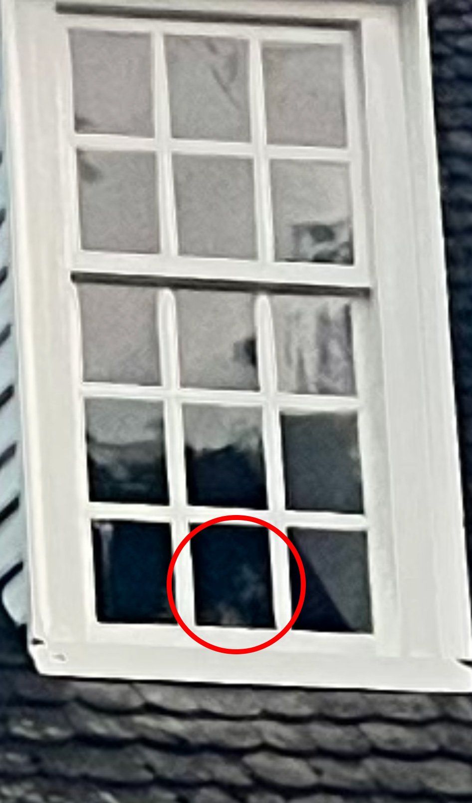 Window with white trim and multi-pane glass; the bottom-center pane is circled in red.