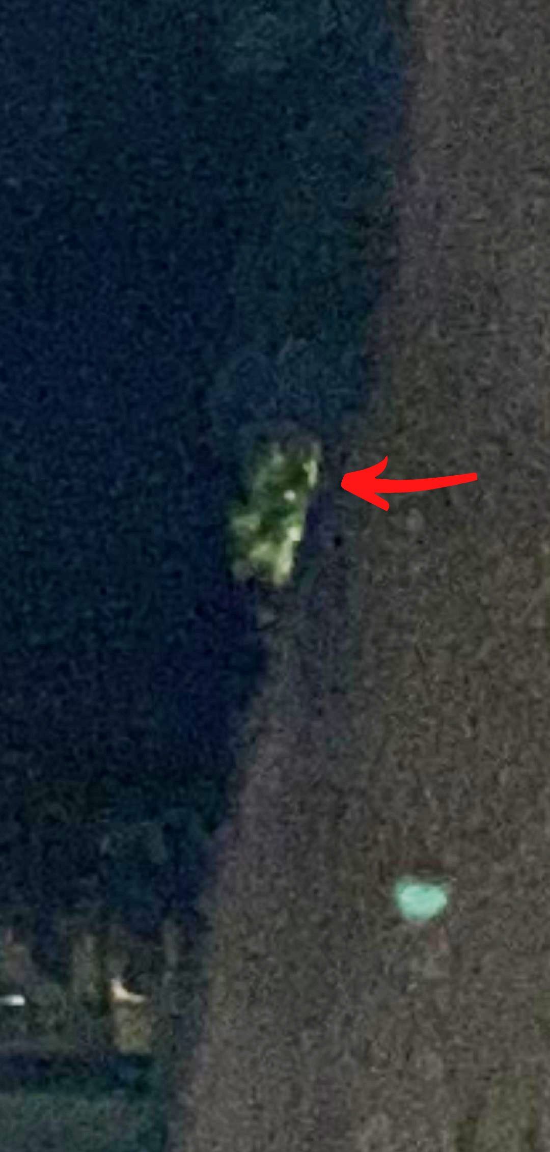 Dark night scene with an arrow pointing at a blurry, green shape against a dark background, likely a reflection or light source.