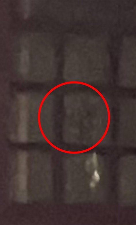 Red circle highlights a blurry, dark shape in a window's pane.