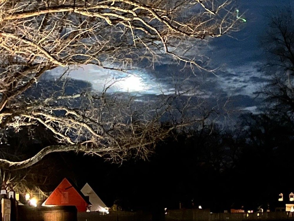Nighttime scene: Bare tree branches frame a moonlit sky. Red and white structures in foreground.