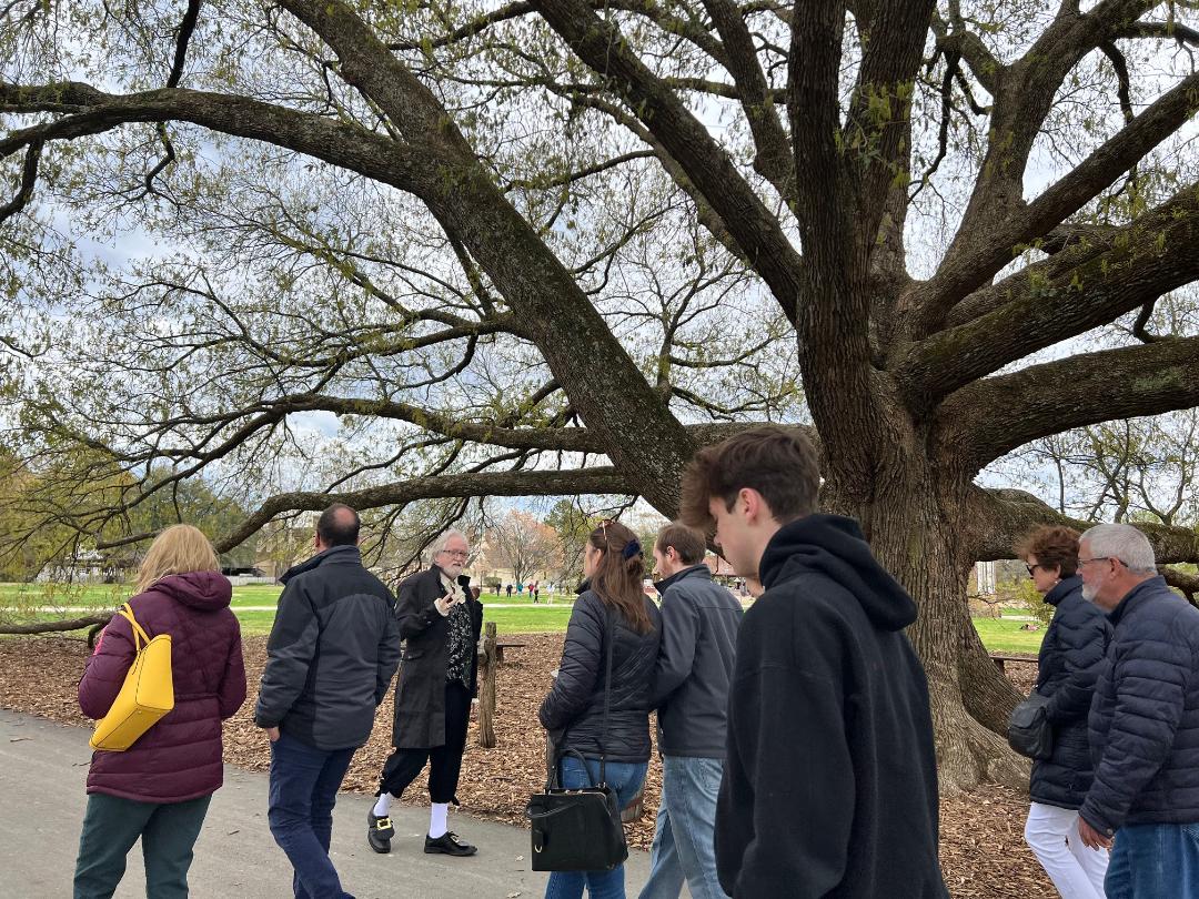 People on a path under a large tree, possibly on a tour. Cloudy day, some foliage visible.