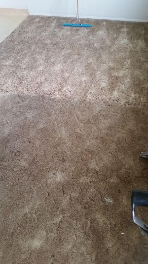 Brown carpeted floor with a blue broom near the top and a chair leg on the right.