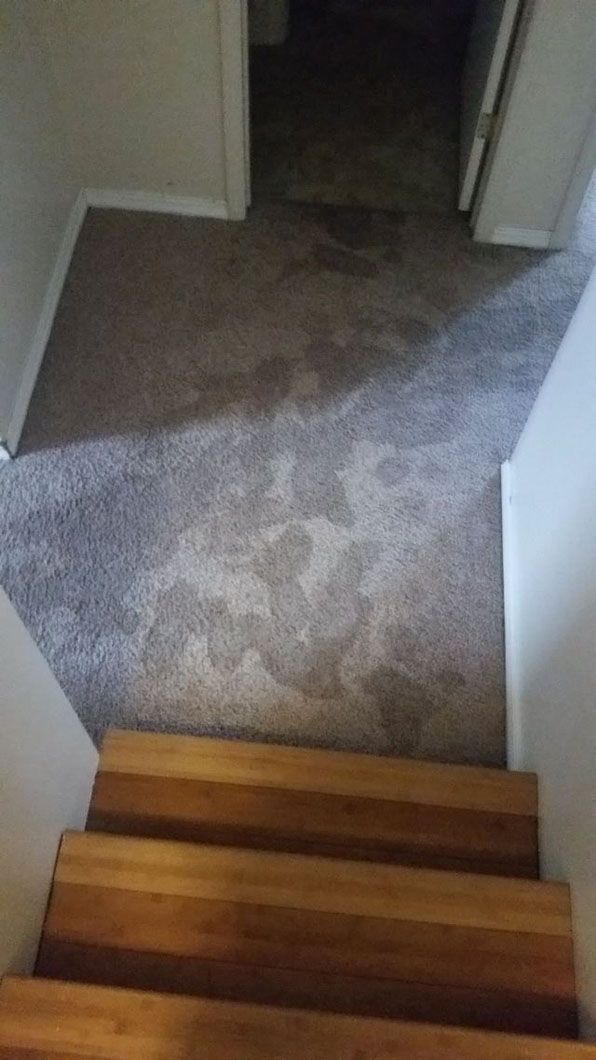 Carpeted hallway with a small wooden step at the bottom and open doorways on both sides.