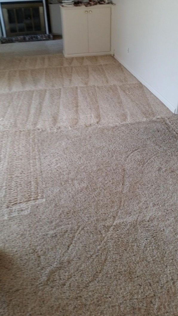 Empty beige-carpeted room with white walls and a small cabinet in the back corner