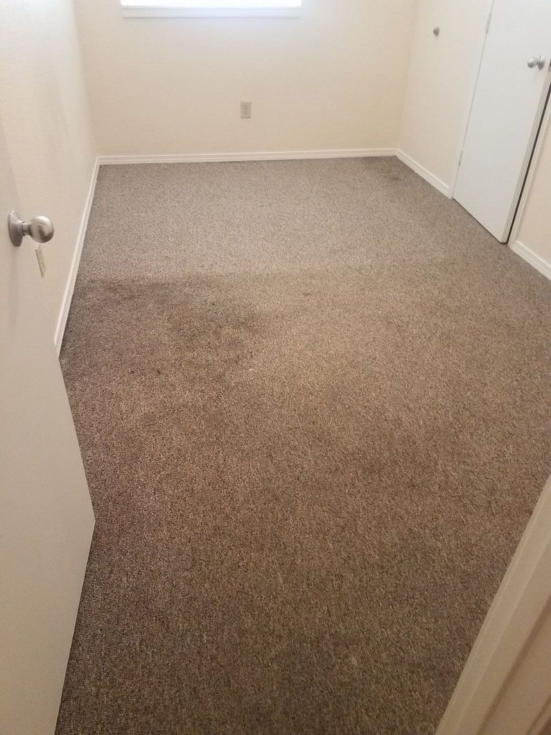 Empty beige-carpeted room with white walls, a window, and closet doors.