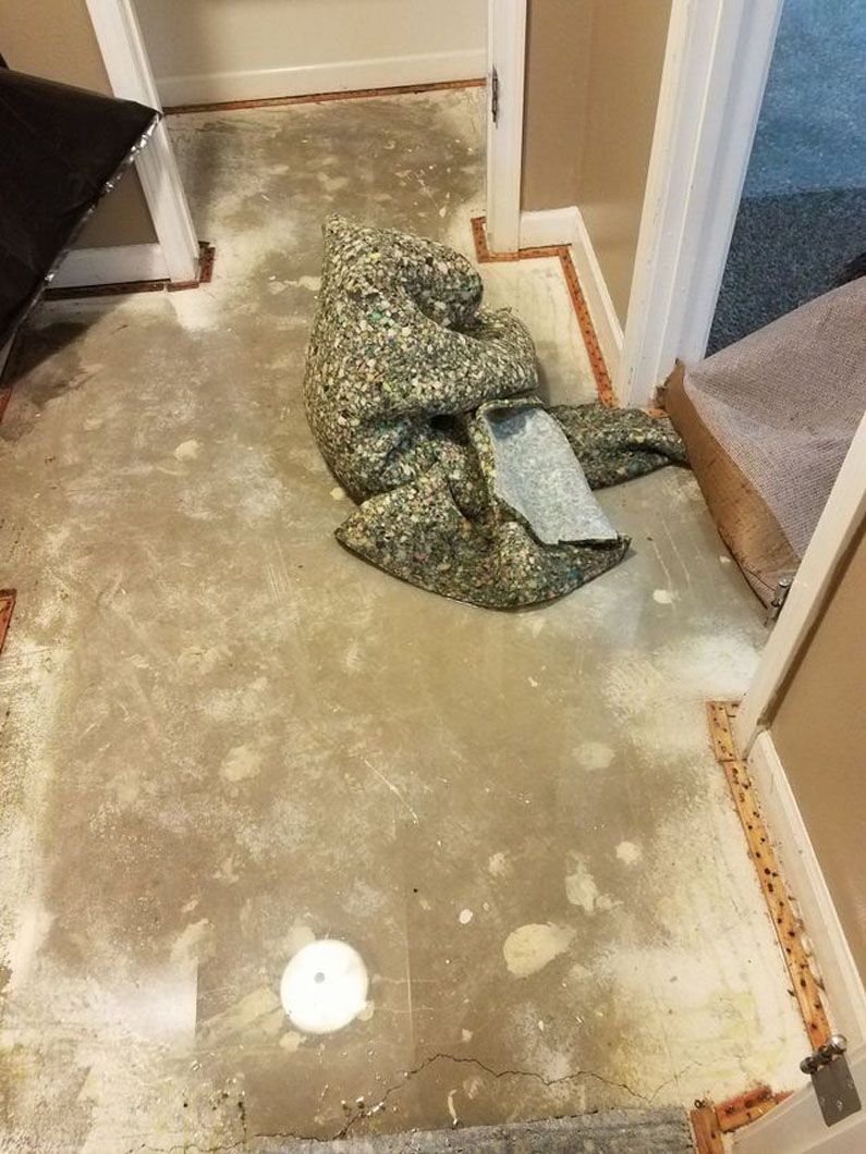 Hallway floor with water damage, stains, and a collapsed bag or debris near a doorway