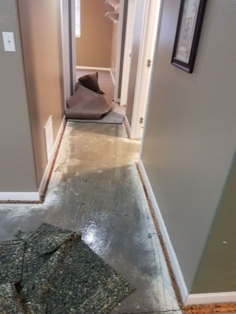 Flooded hallway with wet carpet and a fallen cushion near a doorway