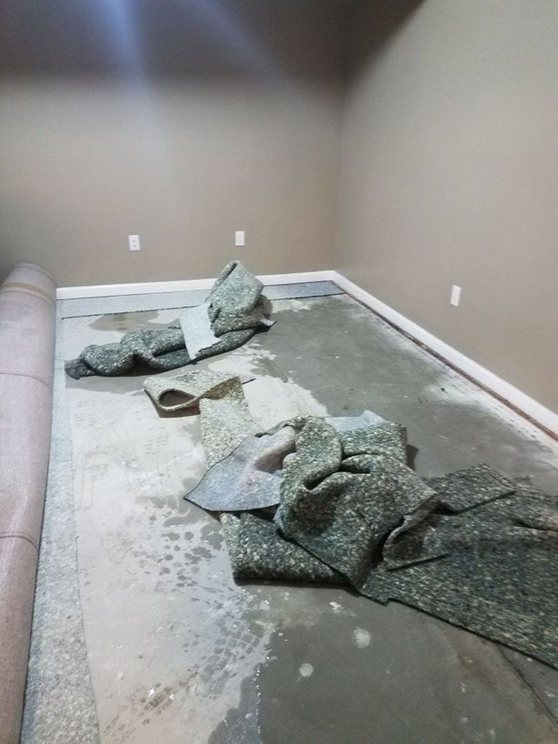Empty room with a damaged gray carpet torn up across the floor and wall outlets visible.